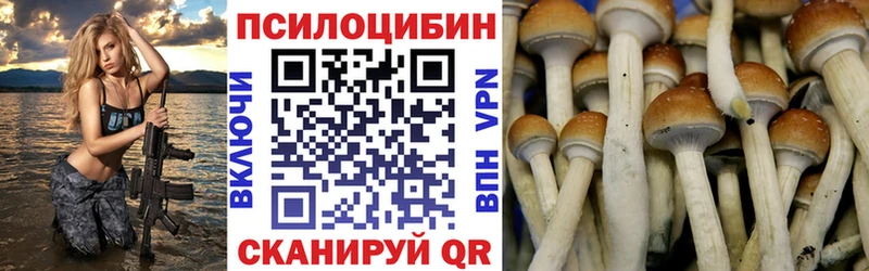 OMG рабочий сайт Бирюсинск Псилоцибиновые грибы MAGIC MUSHROOMS